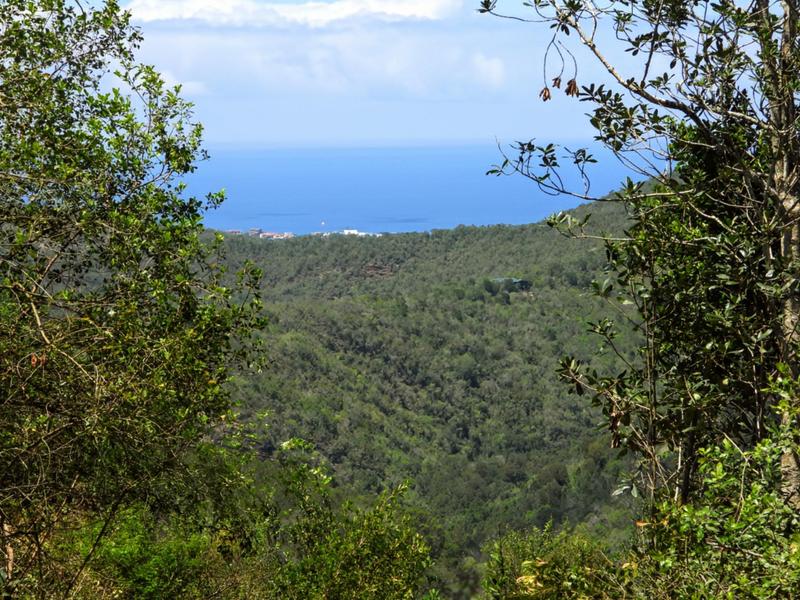 0 Bedroom Property for Sale in Hoekwil Western Cape